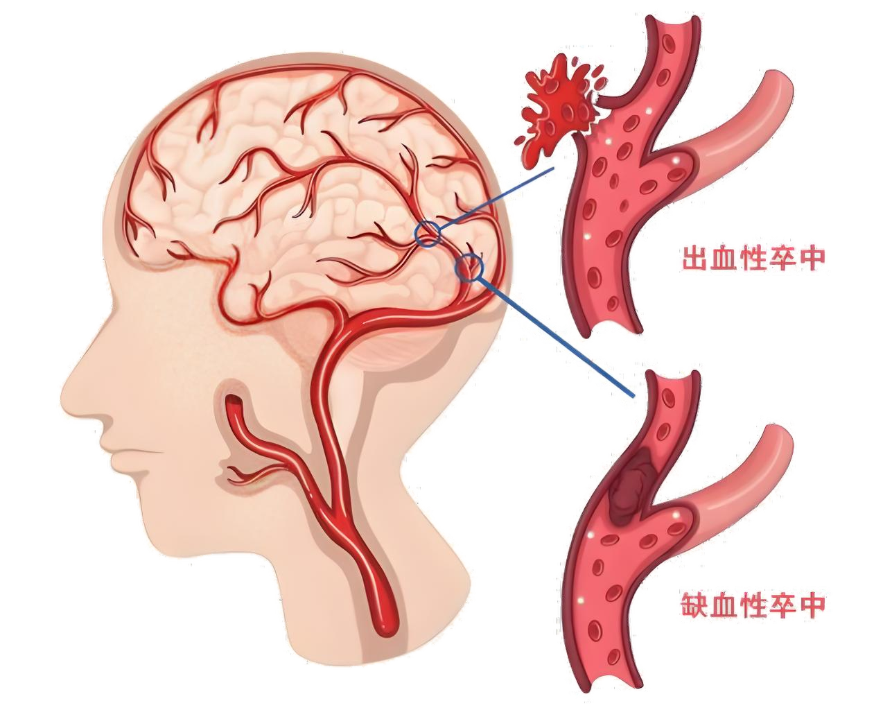 微信图片_2025-10-31_174946_542.png 微信图片_2025-10-31_174946_542.png